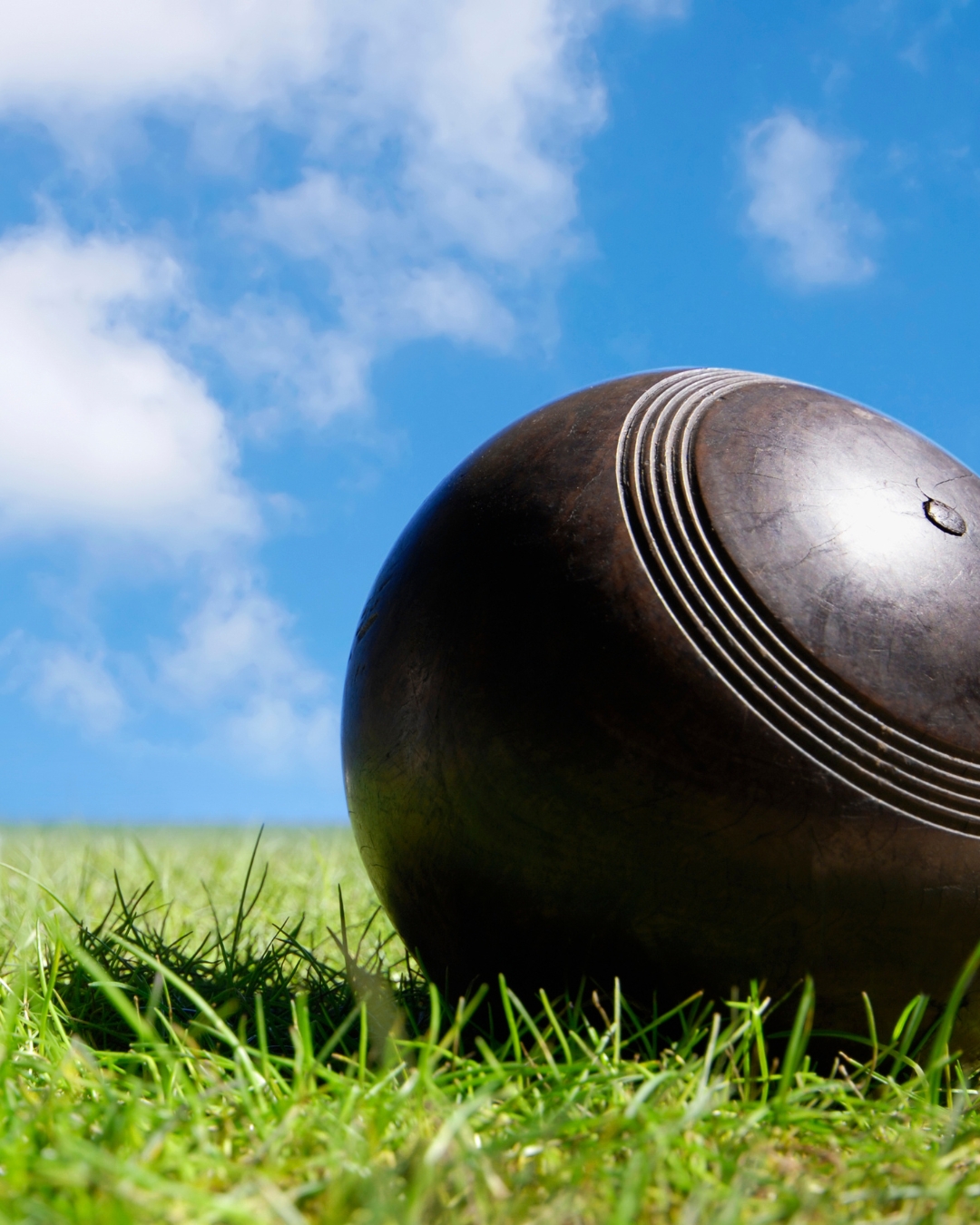 bowls