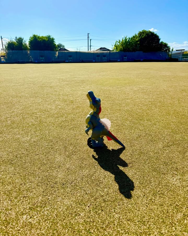 Featured image for “Meet Terry the T-Rex: Olds Park Sports Club’s Lawn Bowling Green Guardian”